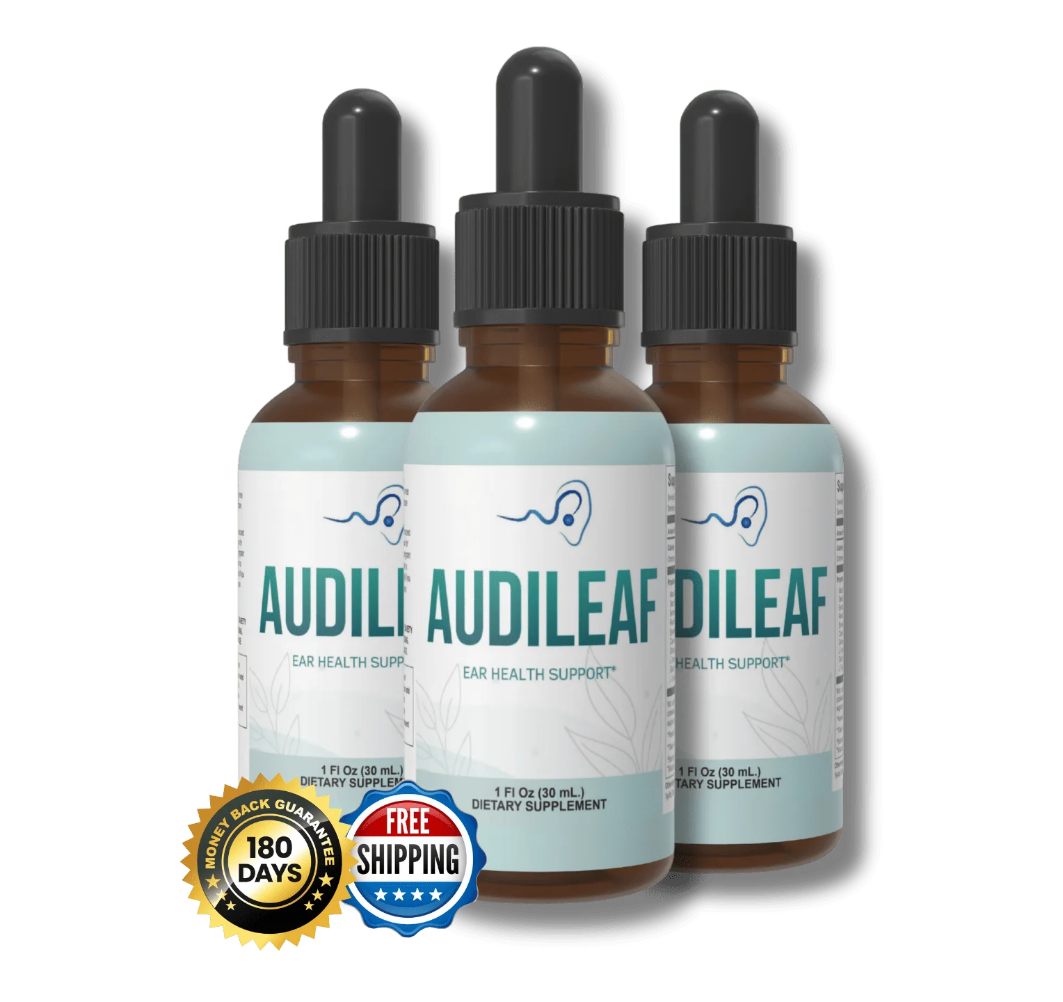 AudiLeaf Final Verdict Review